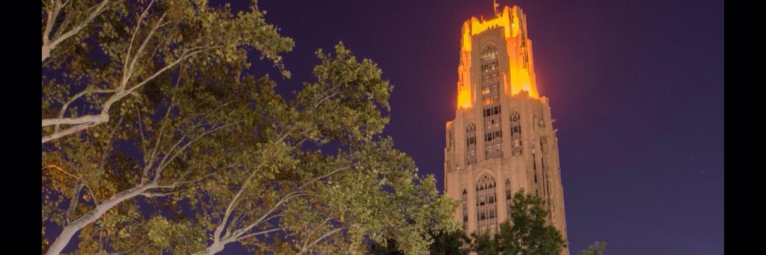 thepittpanthers's profile banner image