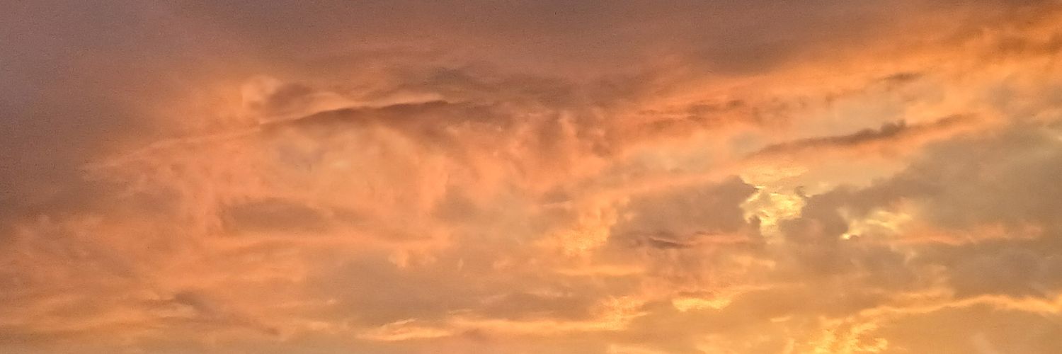 ApollosFlower98's profile banner image
