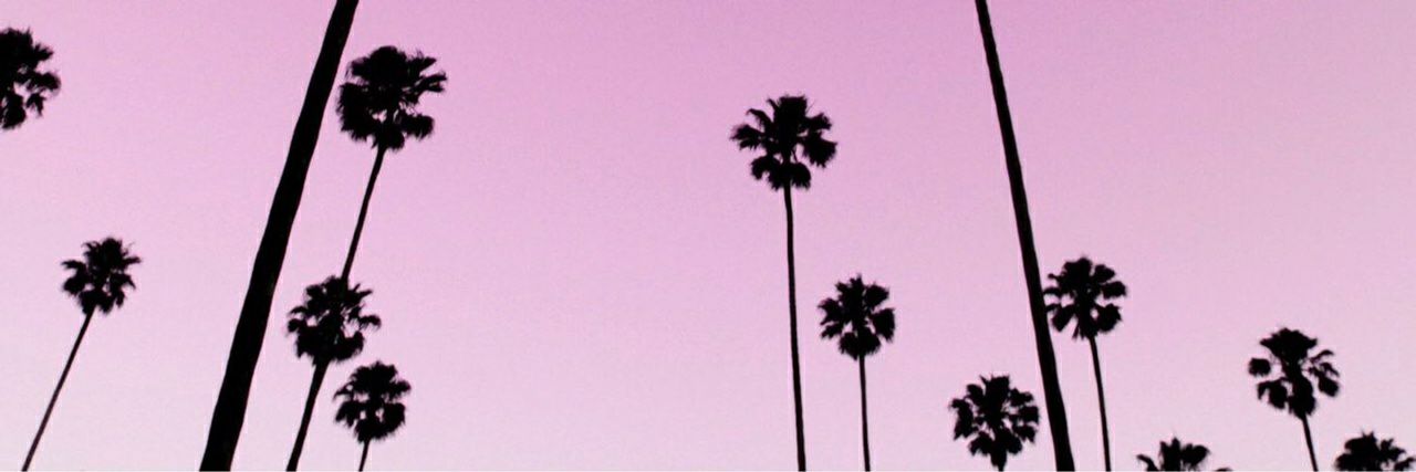 LauraMateoMus's profile banner image