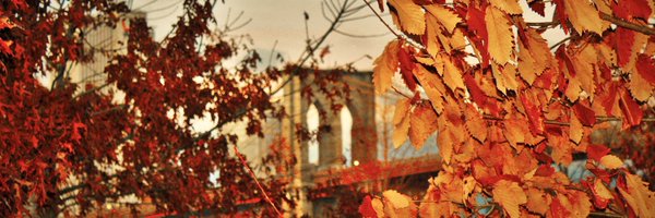 NYCkopp Profile Banner