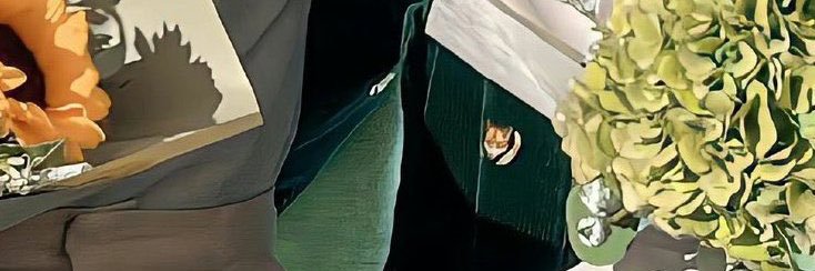 snugglebugtae's profile banner image