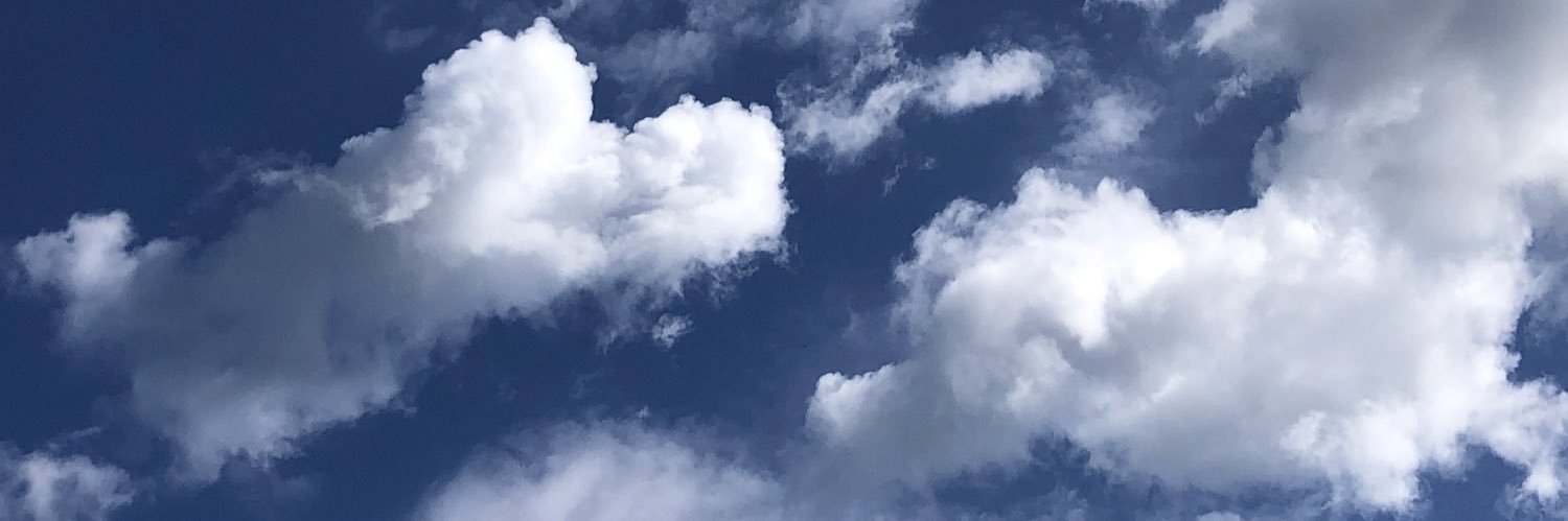 sallybellfields's profile banner image