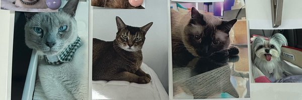 aaomplawan Profile Banner