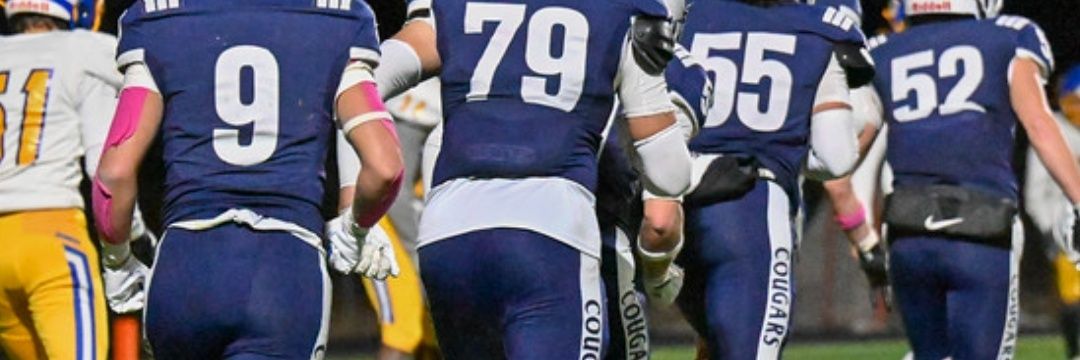 Pascal Haddad banner