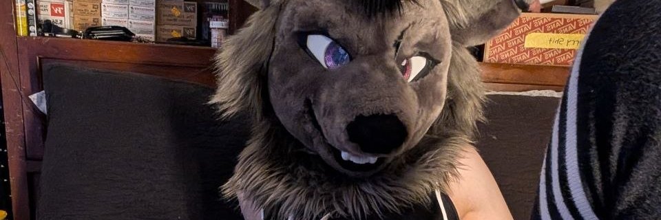 theSecurityWolf_AD 🏳️‍⚧️ banner