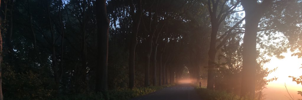 MauricevanGils's profile banner image