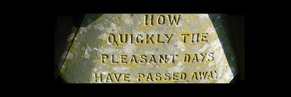 LillyLyle Profile Banner