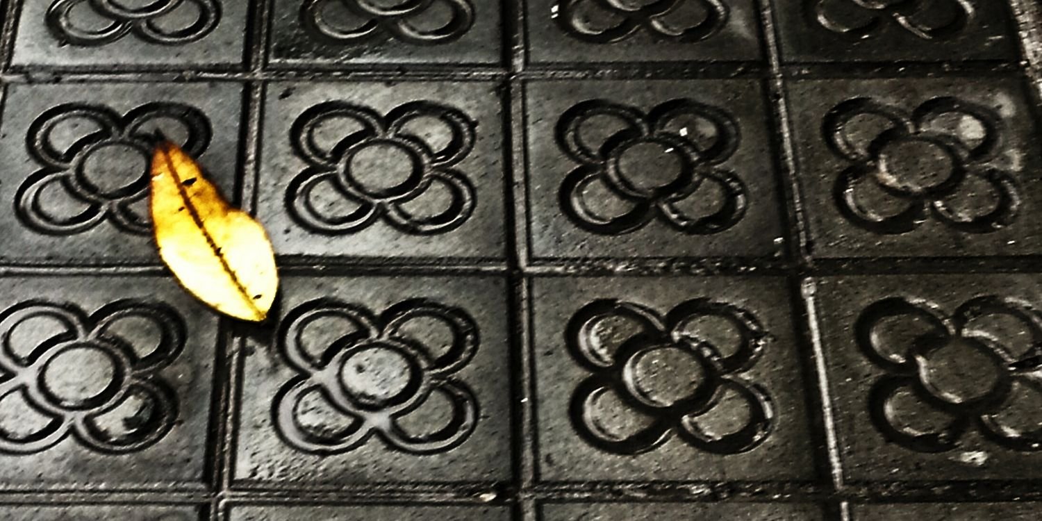 foliveolle's profile banner image