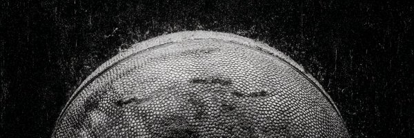 bballxyz Profile Banner