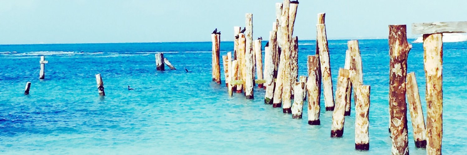 LuciaReiche's profile banner image