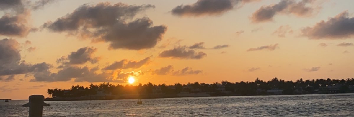 mminchilloo's profile banner image