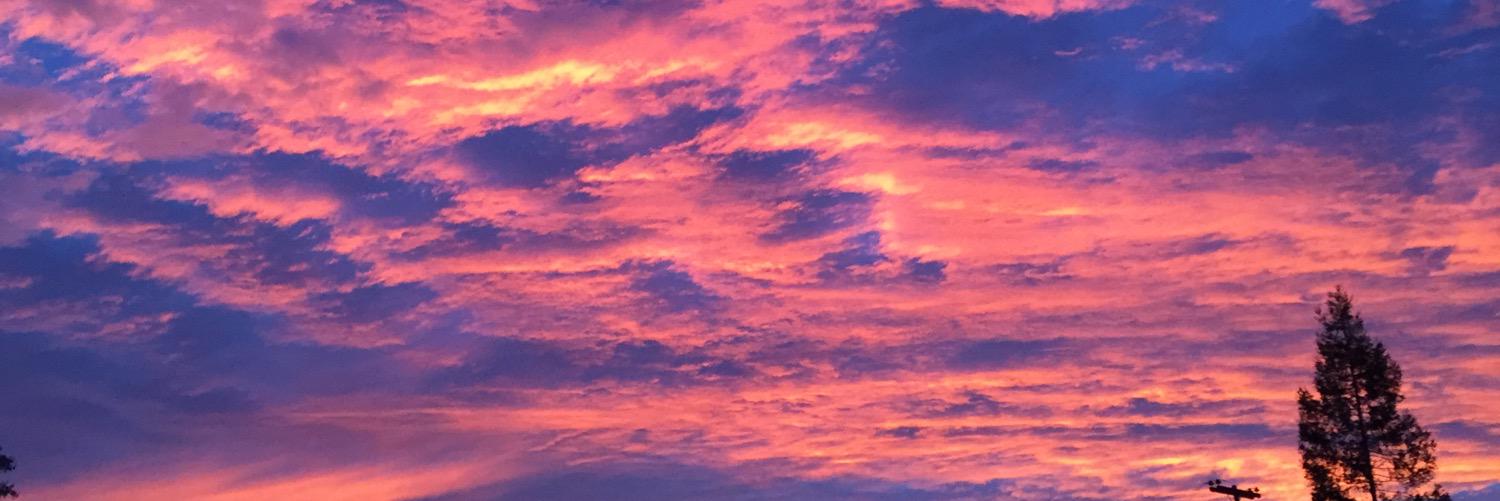 Calormom's profile banner image