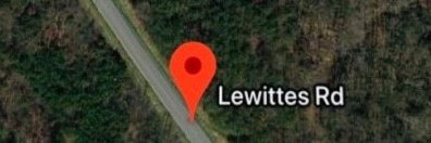 Michael Lewittes's banner