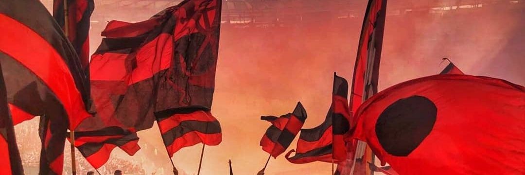 vtrlemos's profile banner image