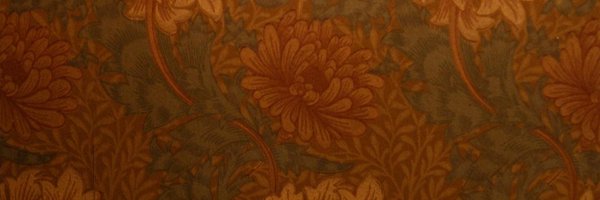 annadewitt123 Profile Banner
