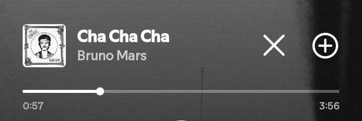 🐈‍⬛🩶 banner