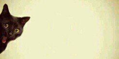 ANITOIA's profile banner image