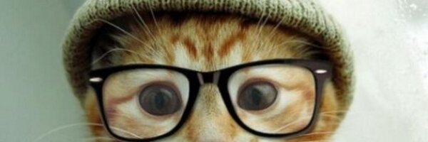 davidchibuque Profile Banner