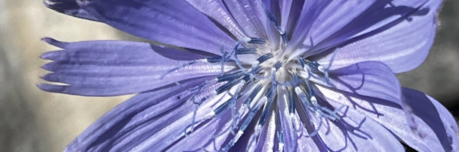 MeFishout's profile banner image