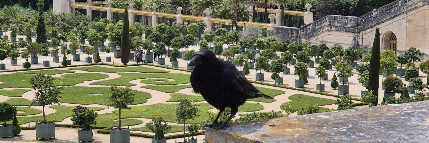 Nês (she/her) banner