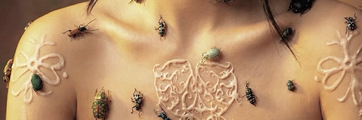 KAUFLAND (the vatican) banner