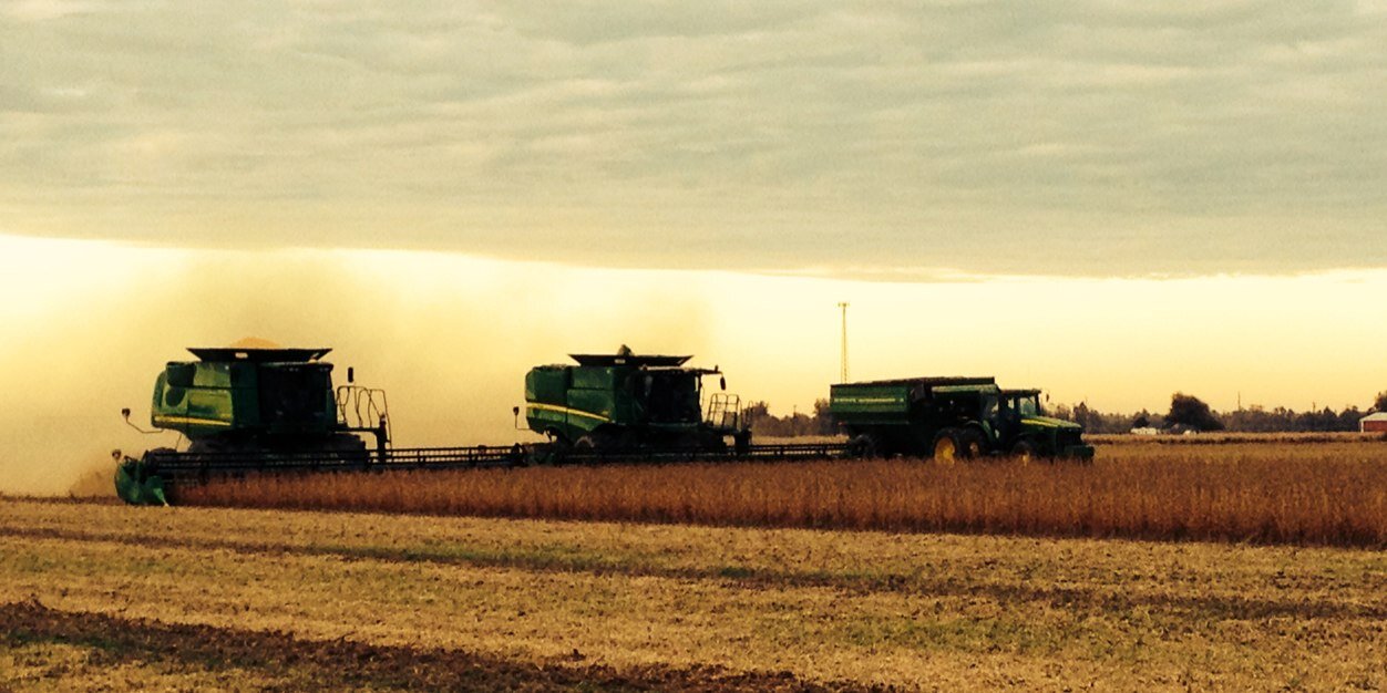 Bradley Jackson banner