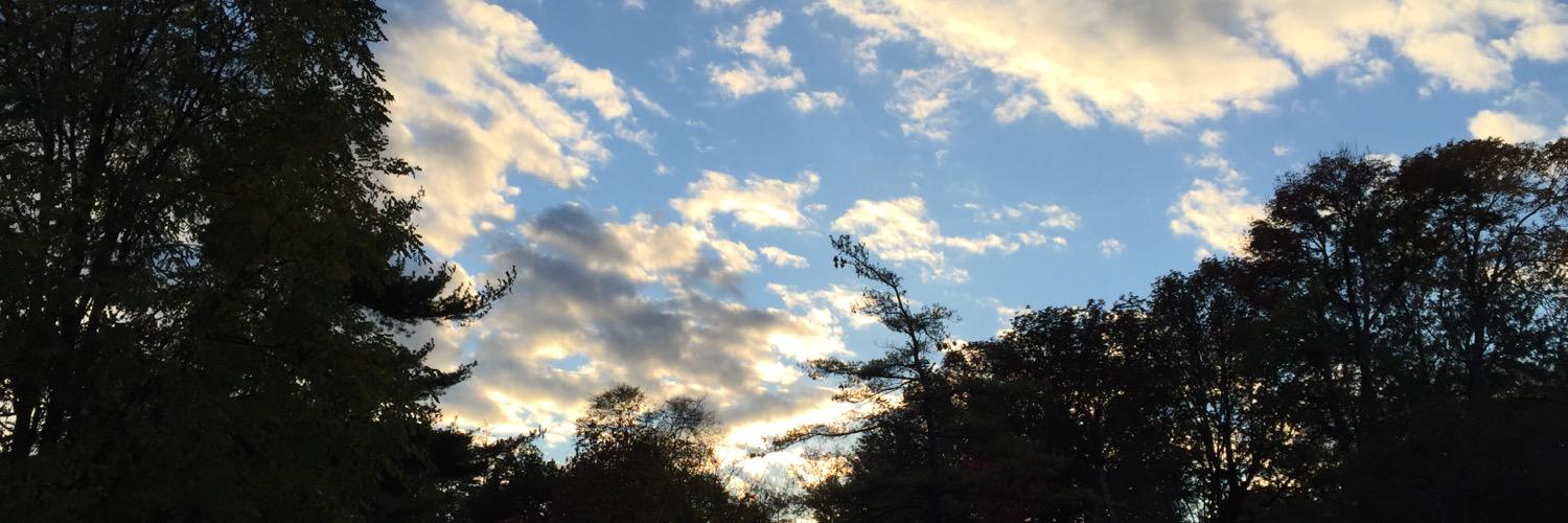 aphillay5's profile banner image