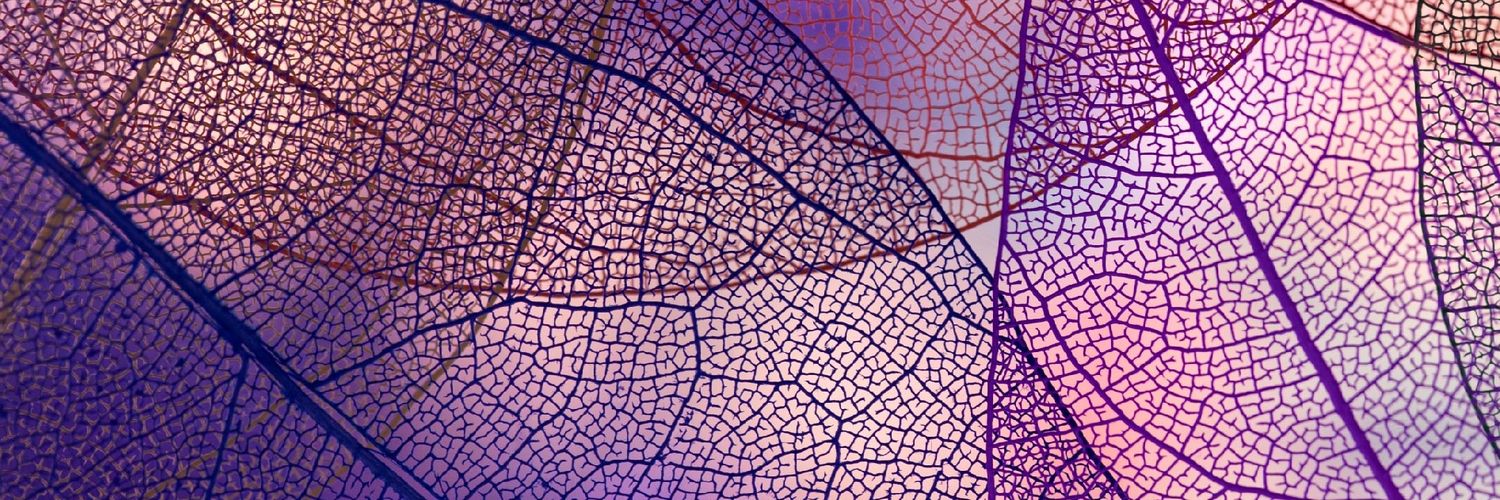 CallMeFla's profile banner image