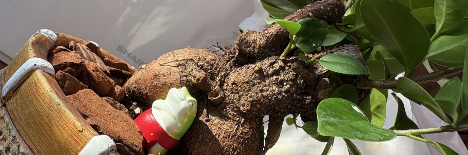 森の賢者 サーペントコング banner