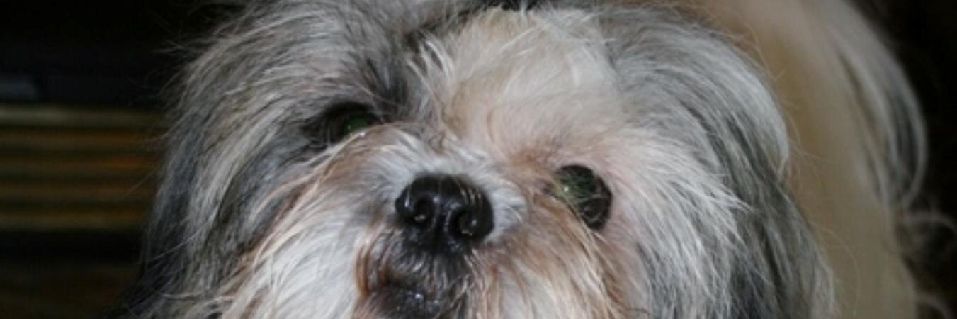 DThackerWriter's profile banner image