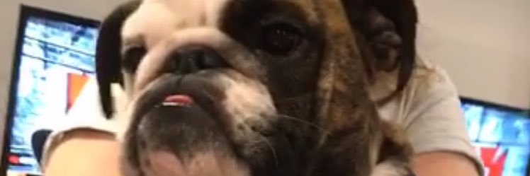 jyanrhonson's profile banner image