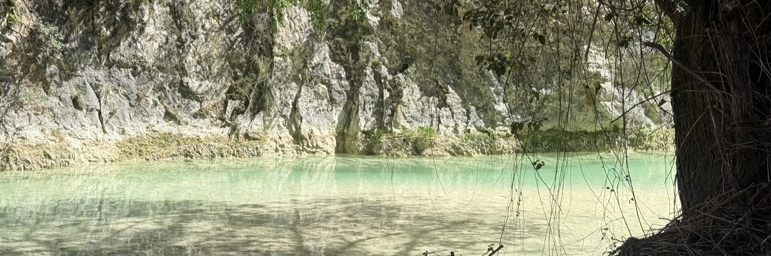 paulamariatt's profile banner image