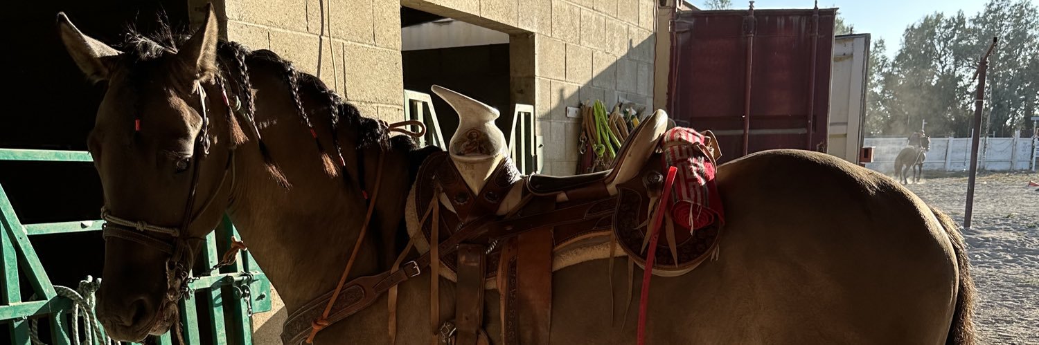 RikyTick's profile banner image