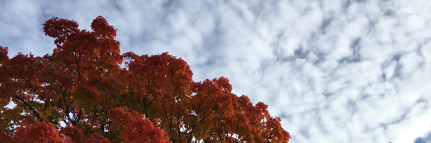 jukkatopi's profile banner image