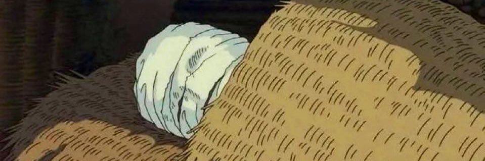 boycottfunerals banner