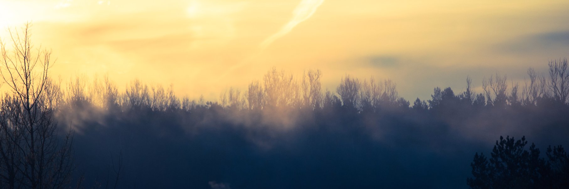 mnsrfe's profile banner image