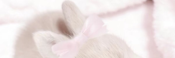 hyperkillerr's profile banner image