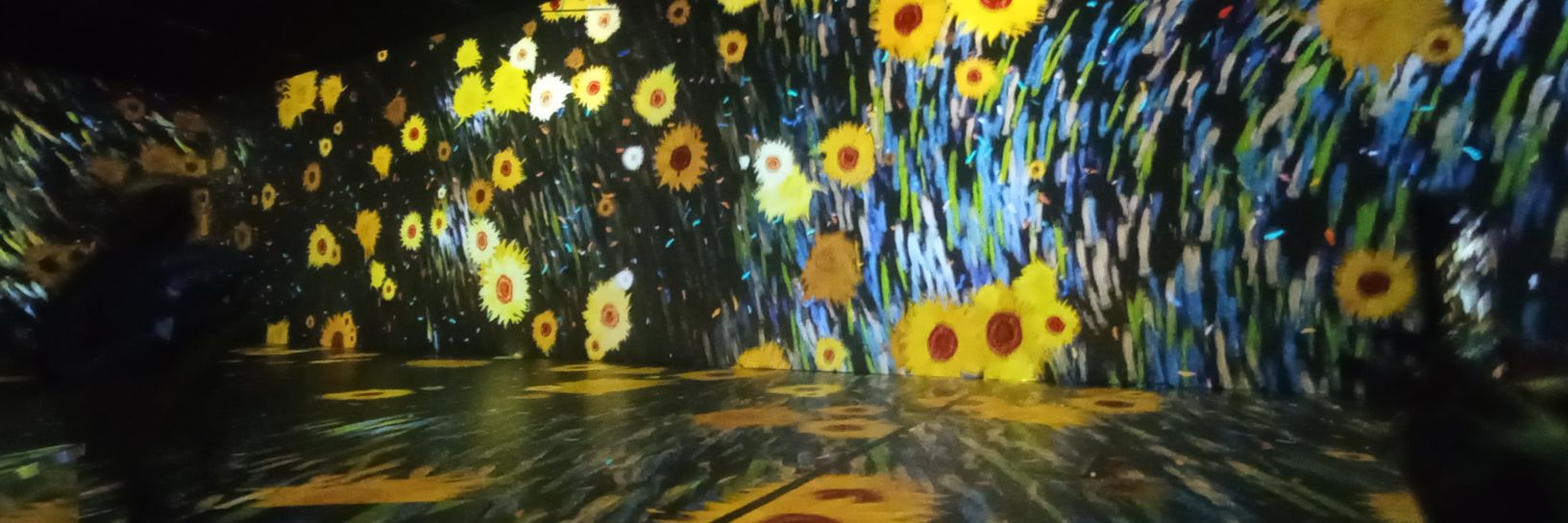 Зарија Мали banner