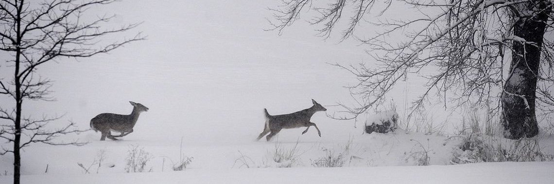 winterseemsfar's profile banner image