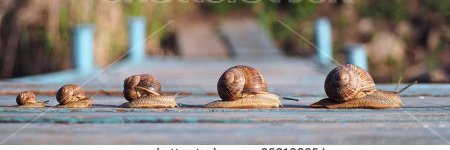 IAmSnailGod's profile banner image