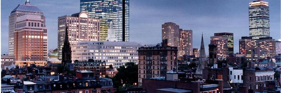 Amanda Linehan banner