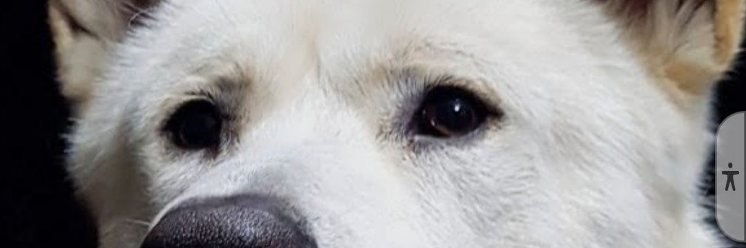 shailo117's profile banner image