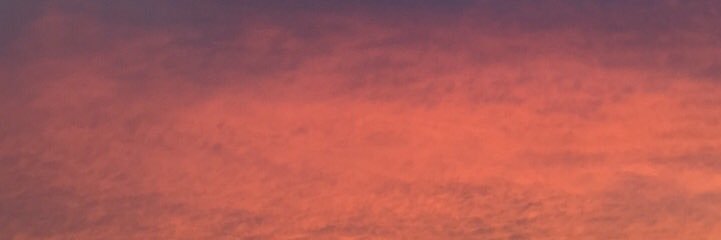 braxton smiley banner