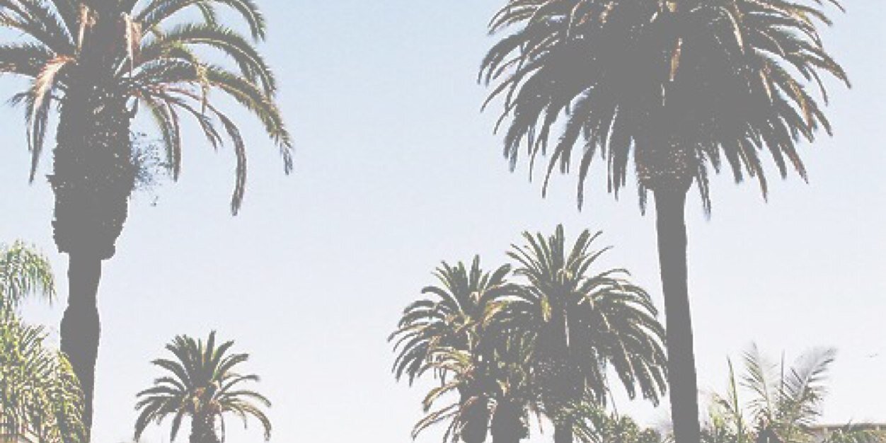 Xlootttx's profile banner image