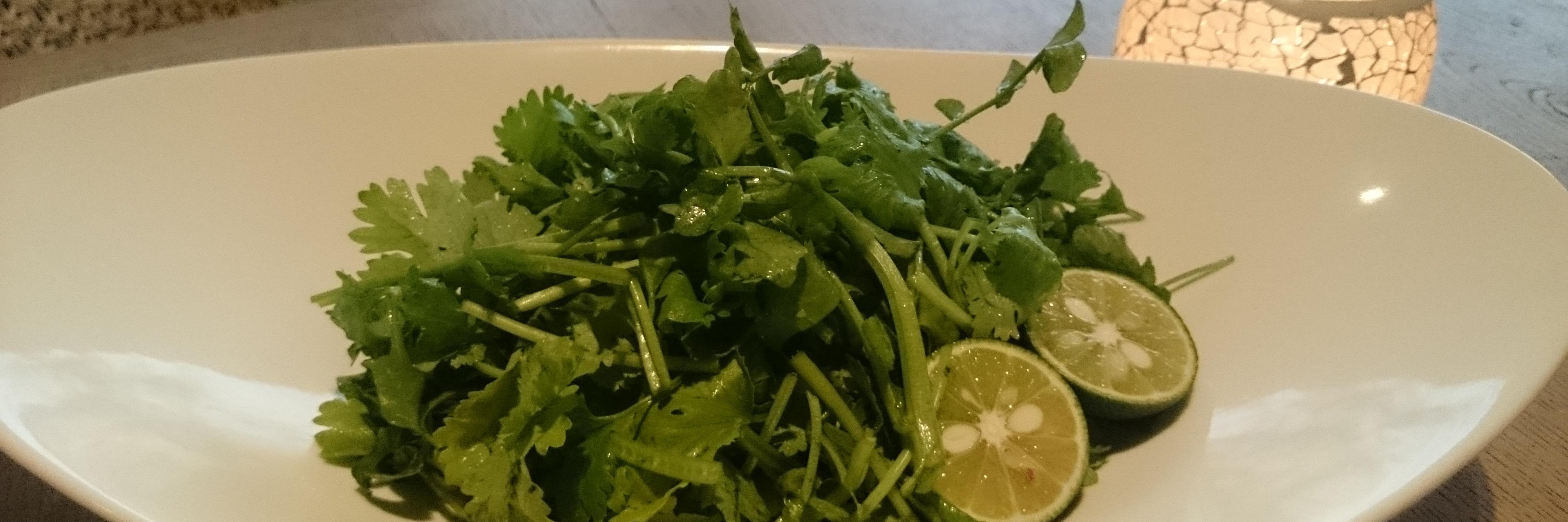 green_verbena's profile banner image