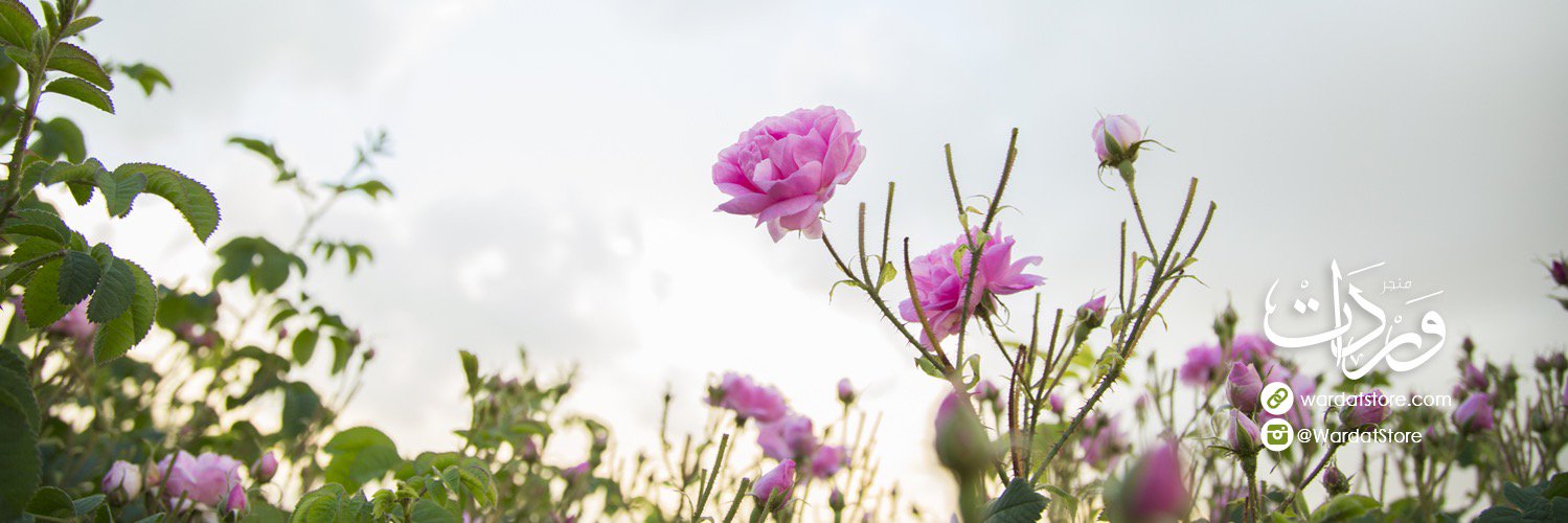 متجر وردات banner