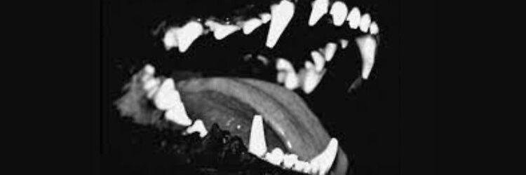 hiddenplg's profile banner image