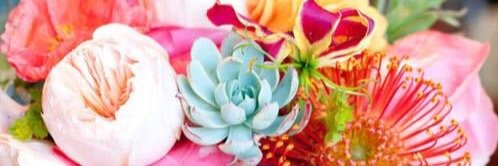 maryochsner's profile banner image