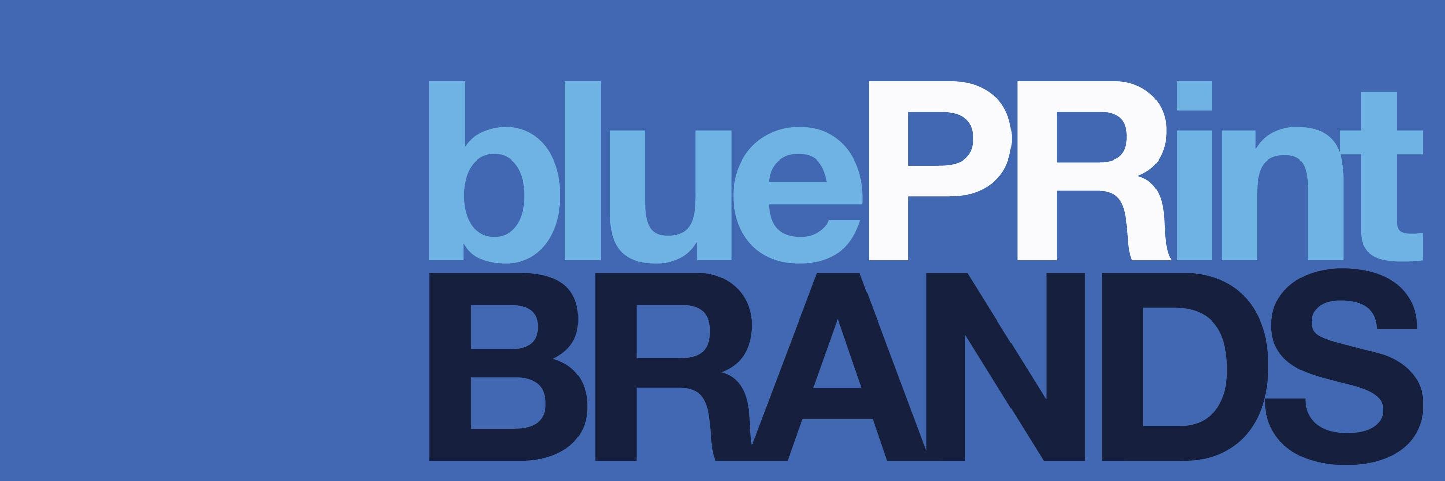 BluePRintBrands's profile banner image