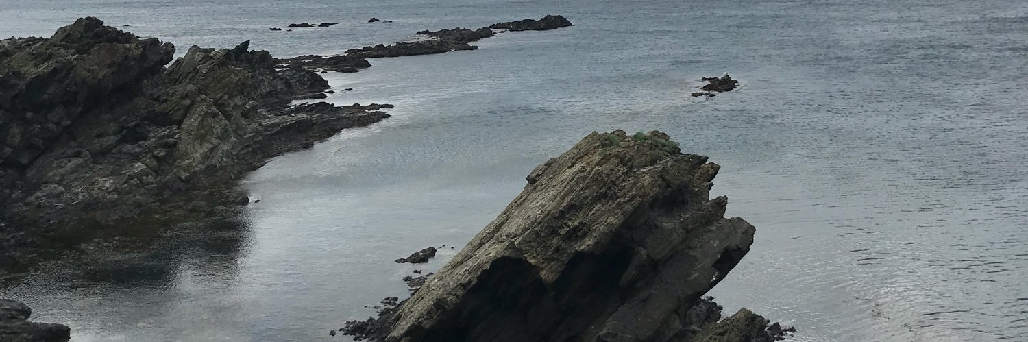 CinthyaPalomque's profile banner image